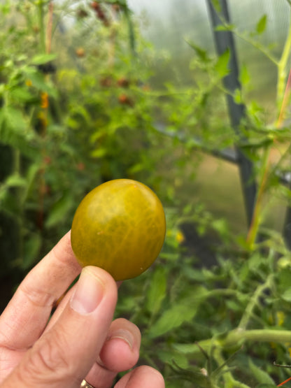 Green Grape