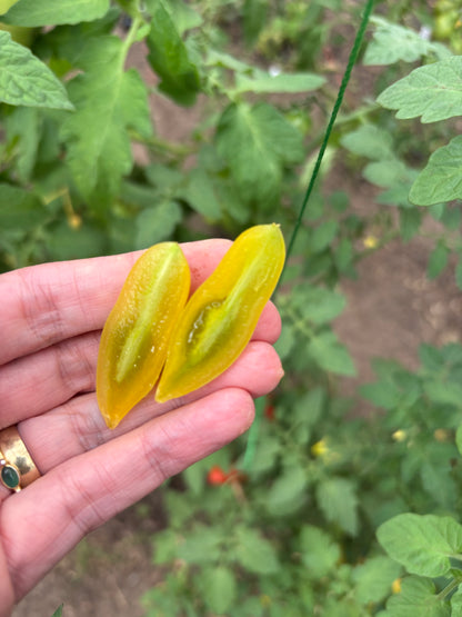 Dancing Green Fingers