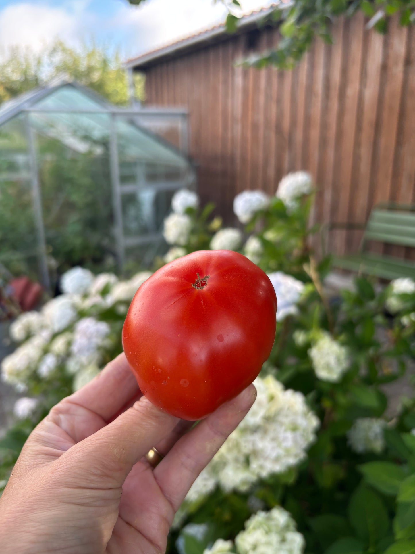 Marmande