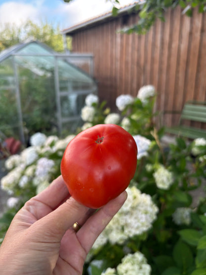 Marmande
