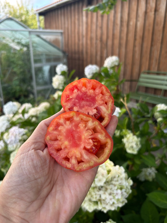 Marmande